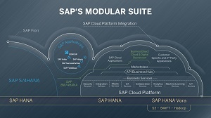 The Big SAP Picture 