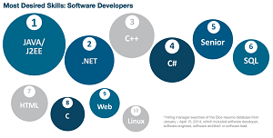 The most-wanted developer skills