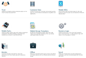Some of the Salesforce Platform Mobile Services