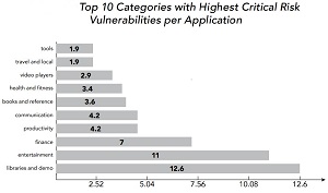 Top Risk Categories