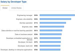 Top 10 Salaries by Developer Typ