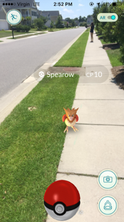 Just Captured